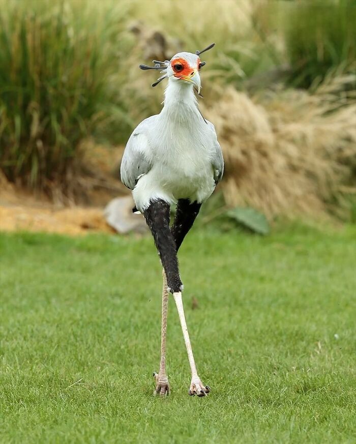 136 Adorable And Beautiful Animals That Might Brighten Up Your Day