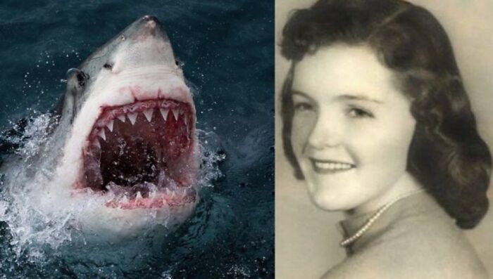 100 Unsettling Images From The &#8220;Morbid Knowledge&#8221; Online Group
