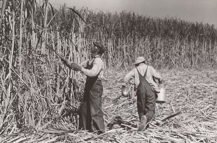 34 Rare Photos That Bring The Great Depression Era To Life Like Never Before