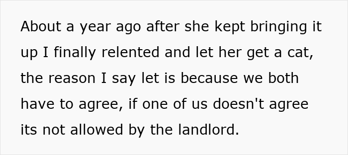 Lady Plans Family Vacation, Dumps Cat Duties On Roommate Who Refuses To Be The Litter Box Servant