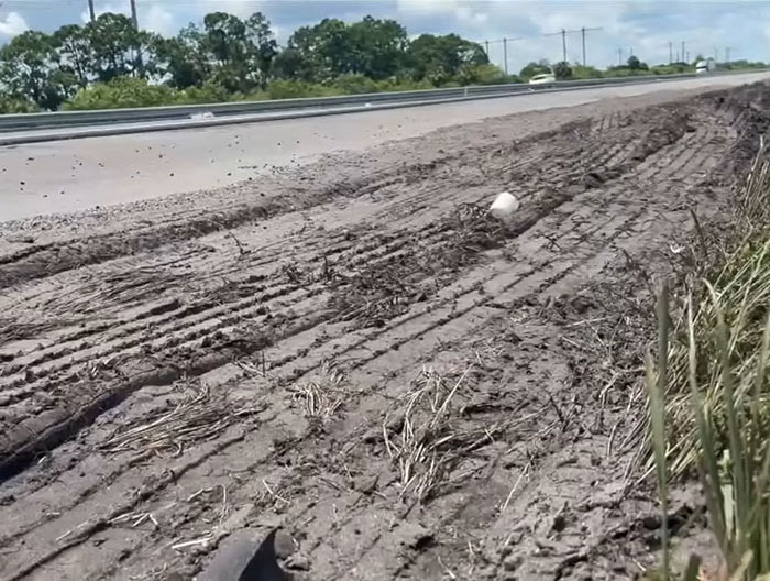 People Beg For &#8220;Life Sentence&#8221; For Truck Driver After Dashcam Footage Sparks Fury
