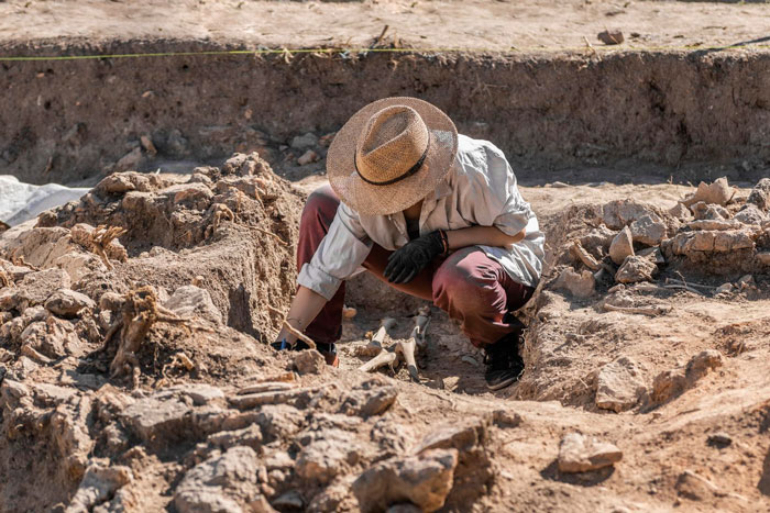 303 Ancient Geoglyphs Shrouded In Mystery Are Discovered, Thanks To Historians Teaming Up With AI