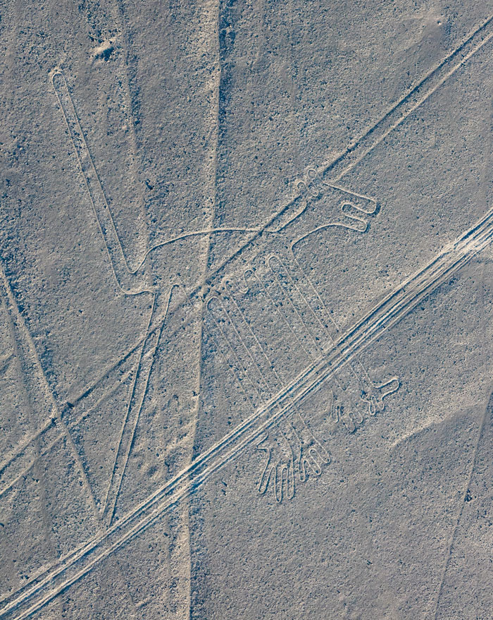 303 Ancient Geoglyphs Shrouded In Mystery Are Discovered, Thanks To Historians Teaming Up With AI