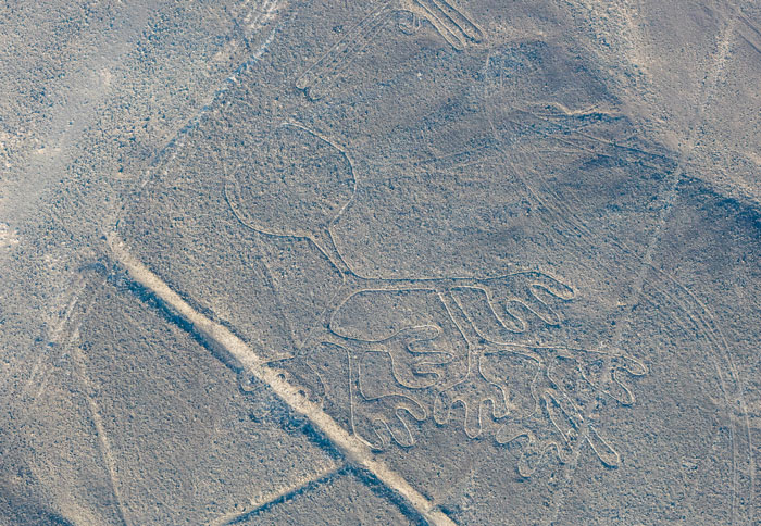 303 Ancient Geoglyphs Shrouded In Mystery Are Discovered, Thanks To Historians Teaming Up With AI