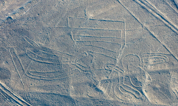 303 Ancient Geoglyphs Shrouded In Mystery Are Discovered, Thanks To Historians Teaming Up With AI