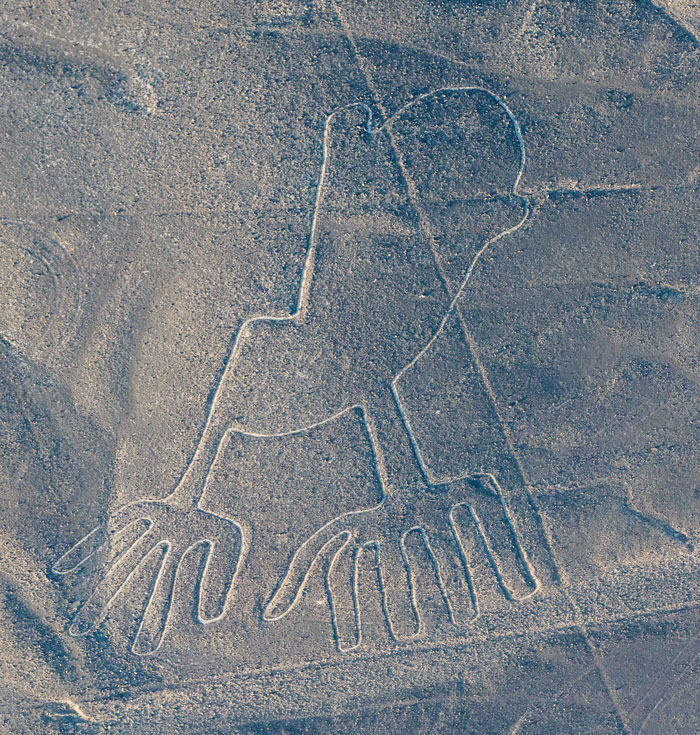 303 Ancient Geoglyphs Shrouded In Mystery Are Discovered, Thanks To Historians Teaming Up With AI