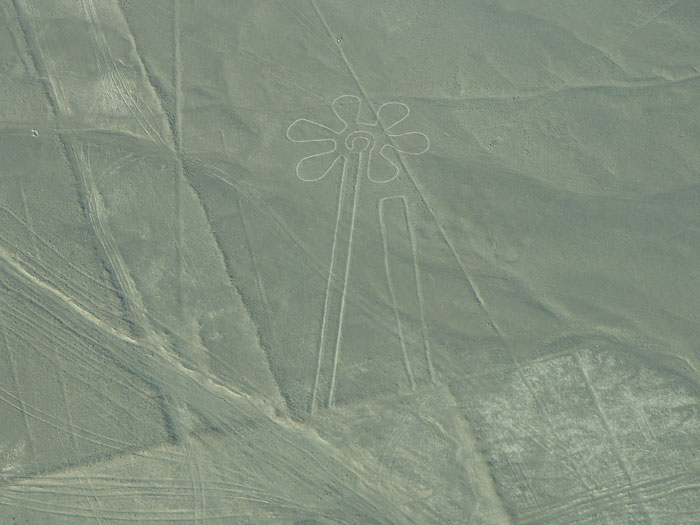 303 Ancient Geoglyphs Shrouded In Mystery Are Discovered, Thanks To Historians Teaming Up With AI