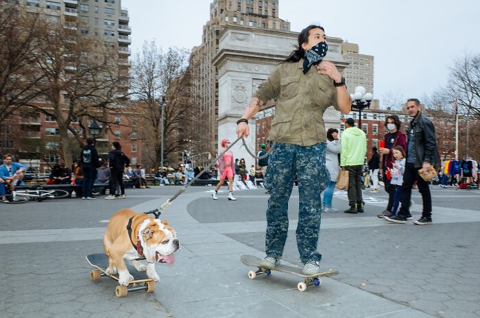 72 Hilarious And Heartwarming Animal Moments Spotted On The Streets