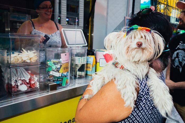 72 Hilarious And Heartwarming Animal Moments Spotted On The Streets