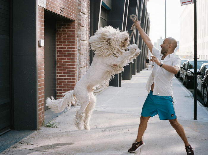 72 Hilarious And Heartwarming Animal Moments Spotted On The Streets