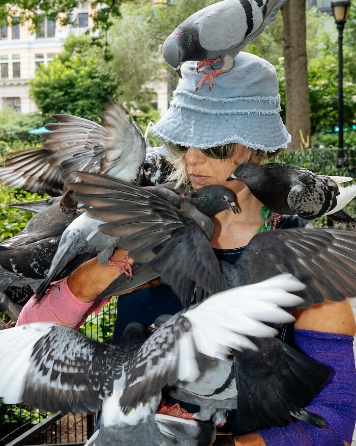 72 Hilarious And Heartwarming Animal Moments Spotted On The Streets