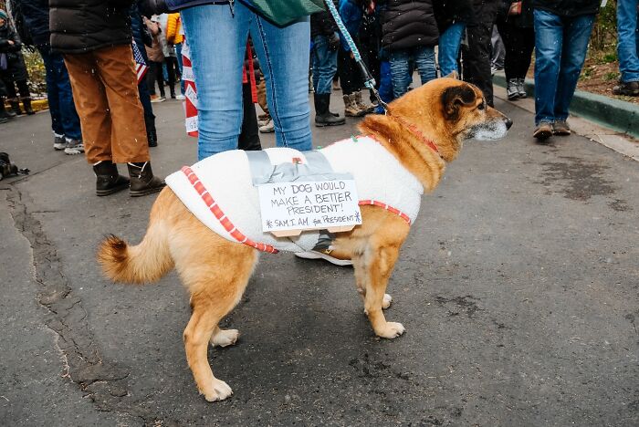 72 Hilarious And Heartwarming Animal Moments Spotted On The Streets