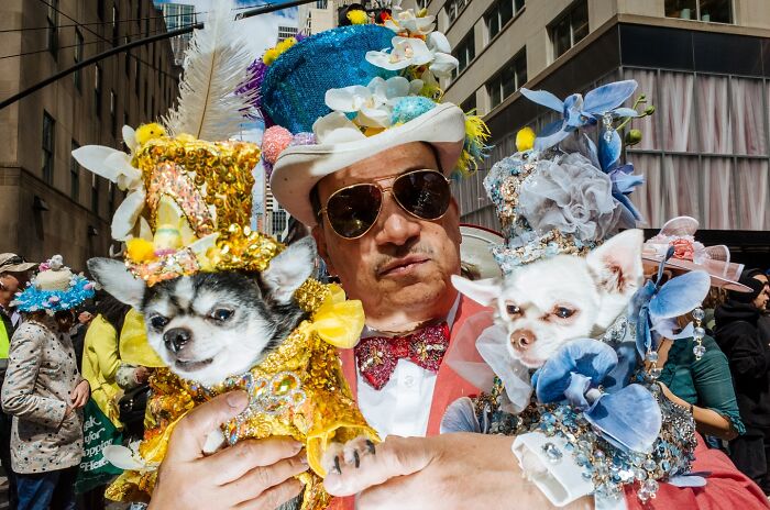 72 Hilarious And Heartwarming Animal Moments Spotted On The Streets