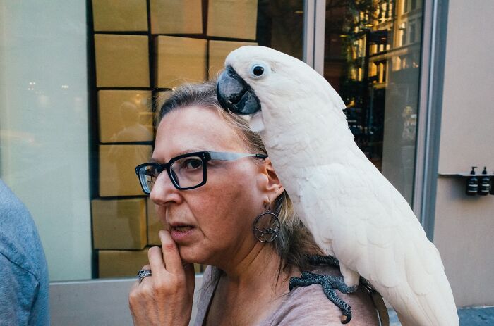 72 Hilarious And Heartwarming Animal Moments Spotted On The Streets