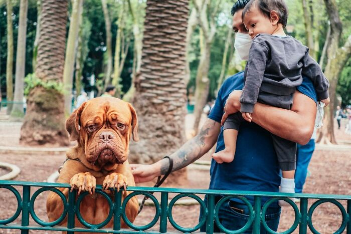 72 Hilarious And Heartwarming Animal Moments Spotted On The Streets