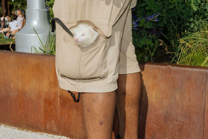 72 Hilarious And Heartwarming Animal Moments Spotted On The Streets