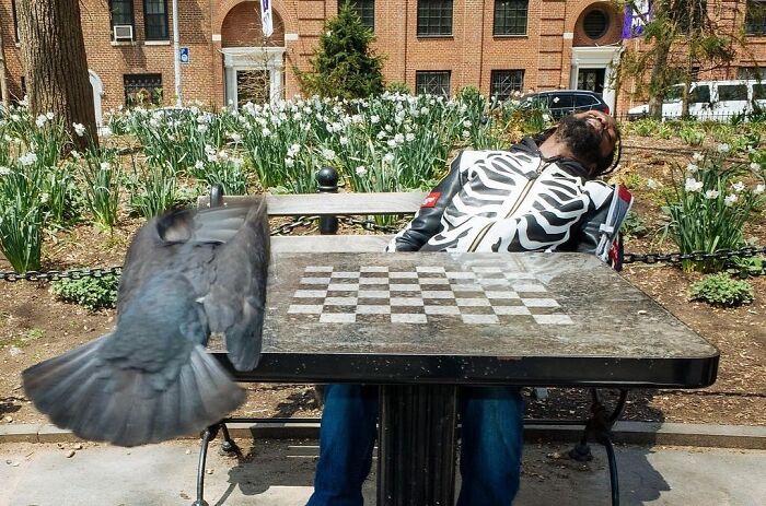 72 Hilarious And Heartwarming Animal Moments Spotted On The Streets