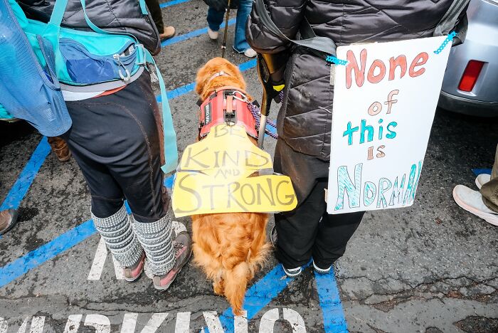 72 Hilarious And Heartwarming Animal Moments Spotted On The Streets