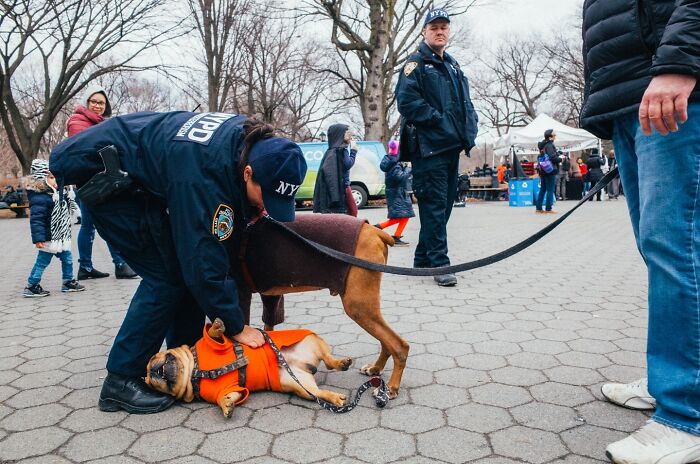 72 Hilarious And Heartwarming Animal Moments Spotted On The Streets