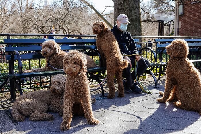 72 Hilarious And Heartwarming Animal Moments Spotted On The Streets