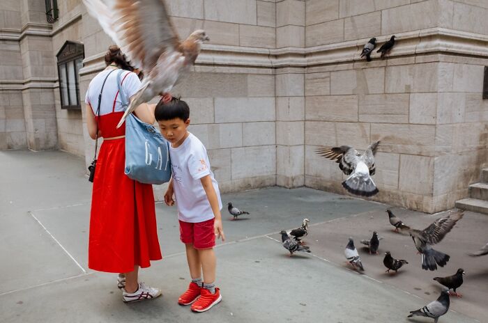 72 Hilarious And Heartwarming Animal Moments Spotted On The Streets