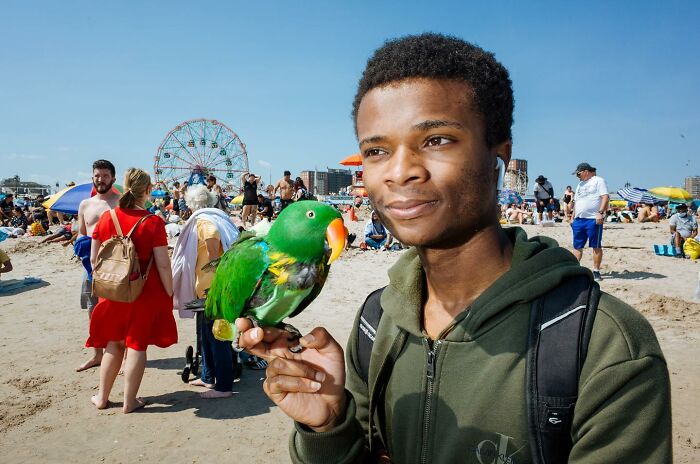72 Hilarious And Heartwarming Animal Moments Spotted On The Streets
