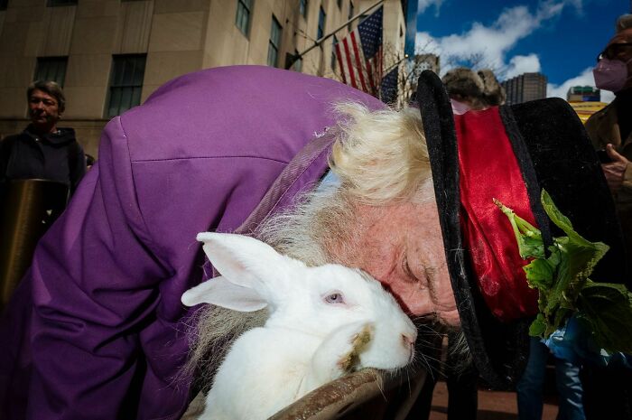72 Hilarious And Heartwarming Animal Moments Spotted On The Streets