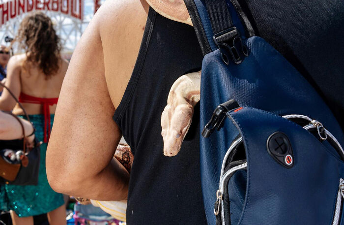 72 Hilarious And Heartwarming Animal Moments Spotted On The Streets