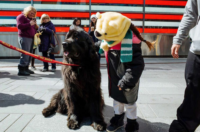 72 Hilarious And Heartwarming Animal Moments Spotted On The Streets