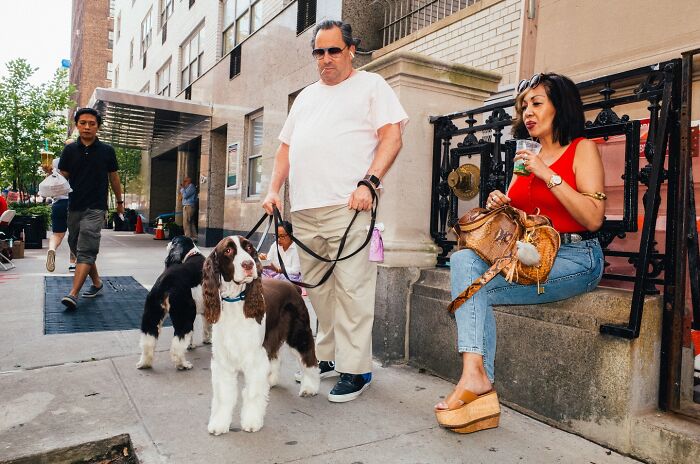 72 Hilarious And Heartwarming Animal Moments Spotted On The Streets
