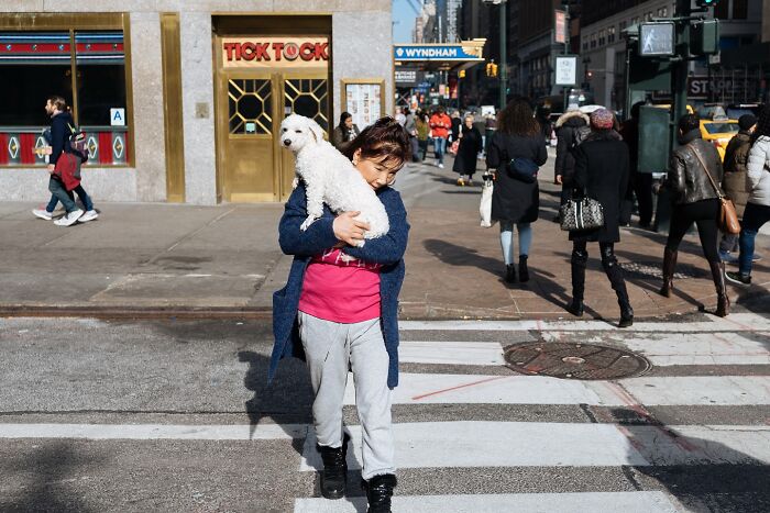 72 Hilarious And Heartwarming Animal Moments Spotted On The Streets