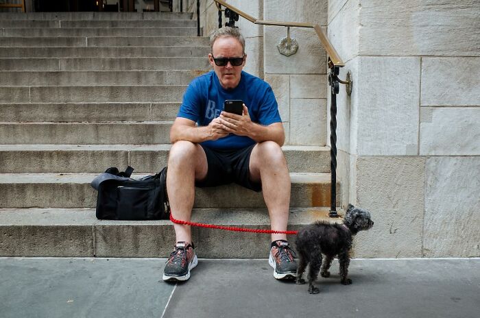 72 Hilarious And Heartwarming Animal Moments Spotted On The Streets