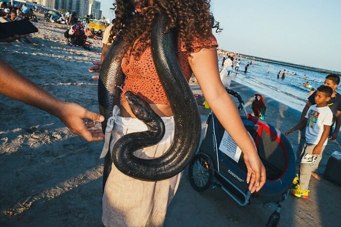72 Hilarious And Heartwarming Animal Moments Spotted On The Streets