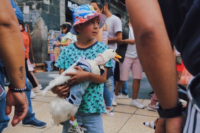 72 Hilarious And Heartwarming Animal Moments Spotted On The Streets