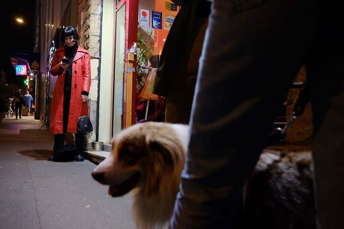 72 Hilarious And Heartwarming Animal Moments Spotted On The Streets