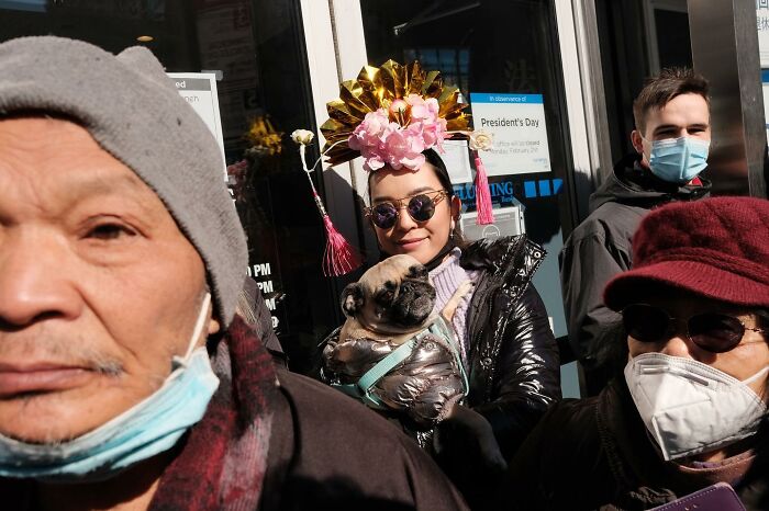 72 Hilarious And Heartwarming Animal Moments Spotted On The Streets
