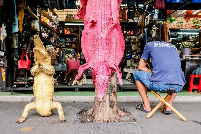 72 Hilarious And Heartwarming Animal Moments Spotted On The Streets