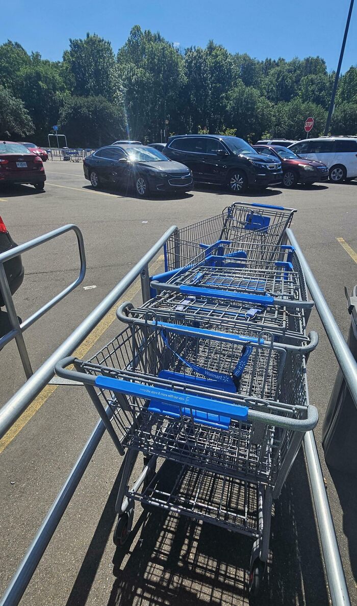 78 Infuriating Photos Showing People Who Have No Care About Rules And Etiquette (New Pics)