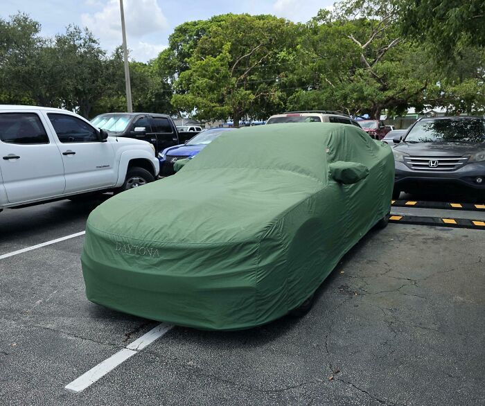 78 Infuriating Photos Showing People Who Have No Care About Rules And Etiquette (New Pics)