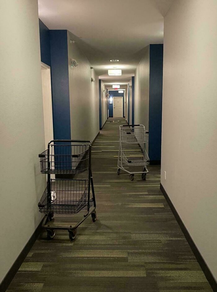 78 Infuriating Photos Showing People Who Have No Care About Rules And Etiquette (New Pics)