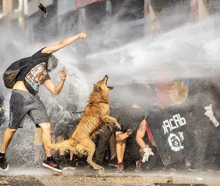 35 Times The Common Folk Made A Huge Mark In Society And History (New Pics)