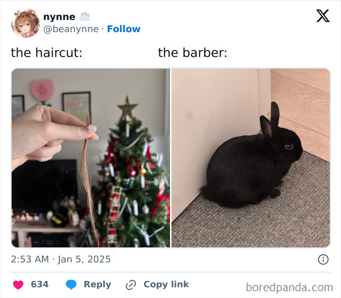 73 Chaotic Pets Who Decided To Be A Menace Just Because They Can