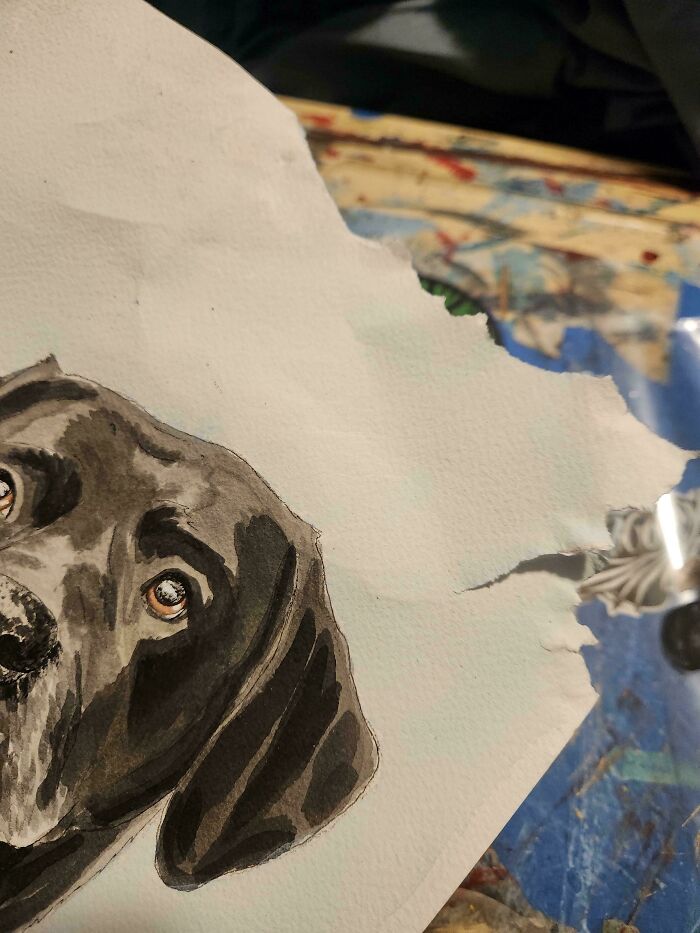73 Chaotic Pets Who Decided To Be A Menace Just Because They Can