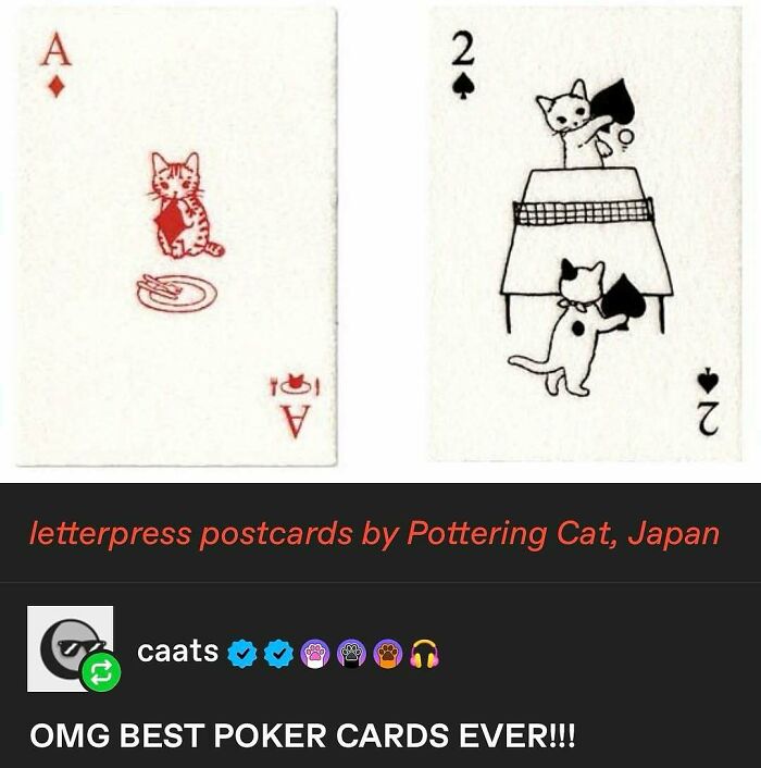 135 Cute And Funny Cat Memes That Are Way Cheaper Than Therapy
