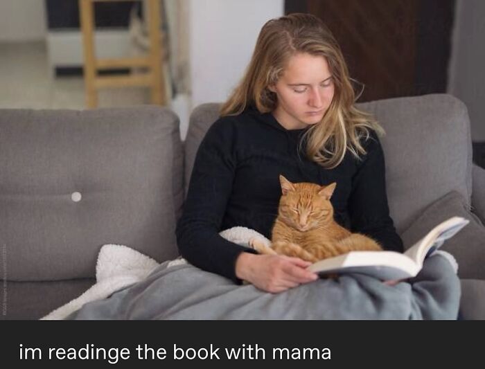 135 Cute And Funny Cat Memes That Are Way Cheaper Than Therapy