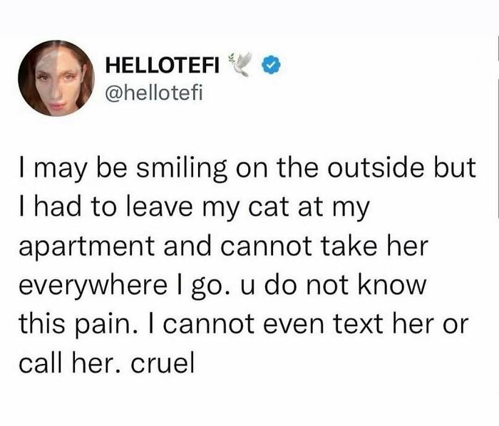 135 Cute And Funny Cat Memes That Are Way Cheaper Than Therapy