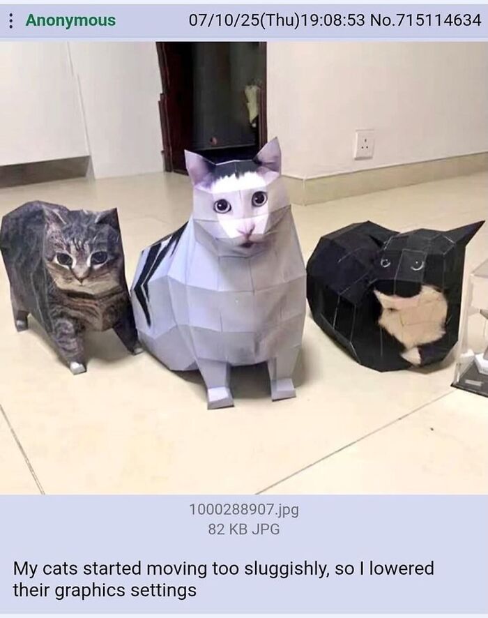 135 Cute And Funny Cat Memes That Are Way Cheaper Than Therapy