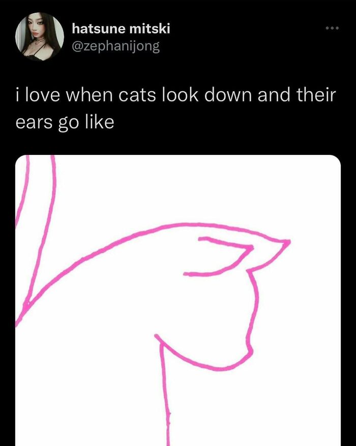 135 Cute And Funny Cat Memes That Are Way Cheaper Than Therapy