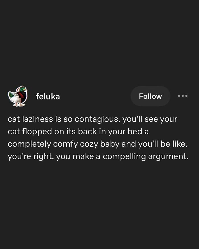 135 Cute And Funny Cat Memes That Are Way Cheaper Than Therapy