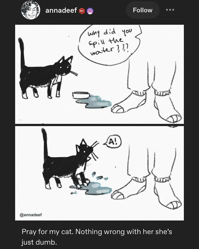 135 Cute And Funny Cat Memes That Are Way Cheaper Than Therapy